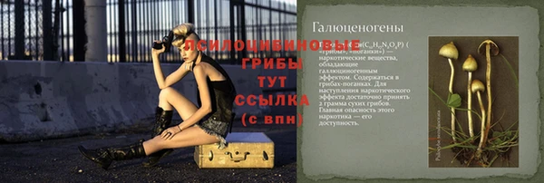 молекула духа Алексин