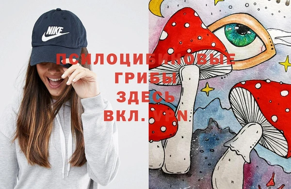 первитин Алексеевка