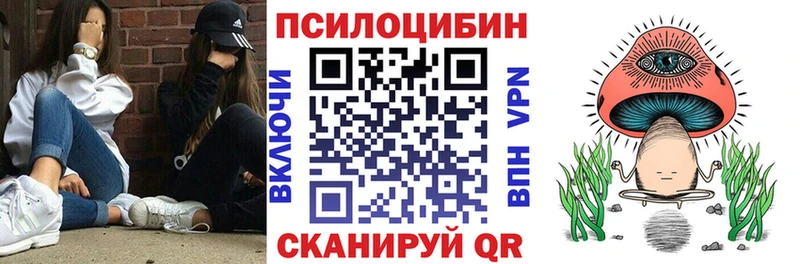 купить закладку  Дудинка  Псилоцибиновые грибы Magic Shrooms 